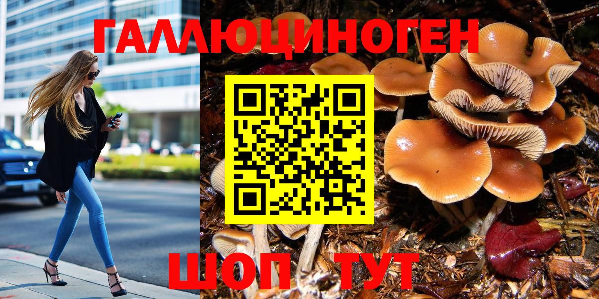 Галлюциногенные грибы прущие грибы Нижний Новгород
