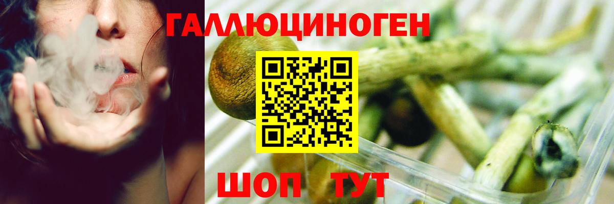Галлюциногенные грибы GOLDEN TEACHER  продажа наркотиков  Нижний Новгород  Вход с VPN 